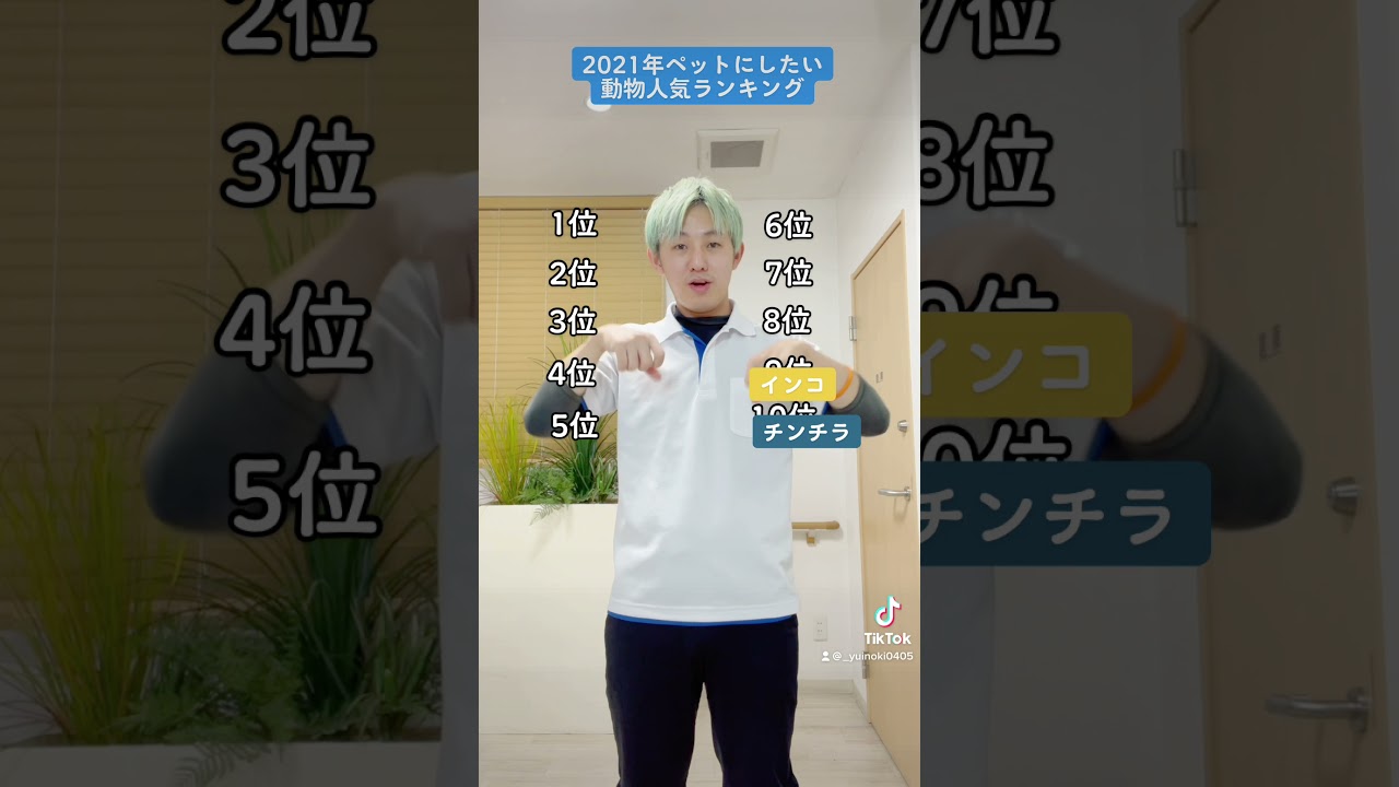 21年 ペットにしたい動物人気ランキング Shorts Youtube