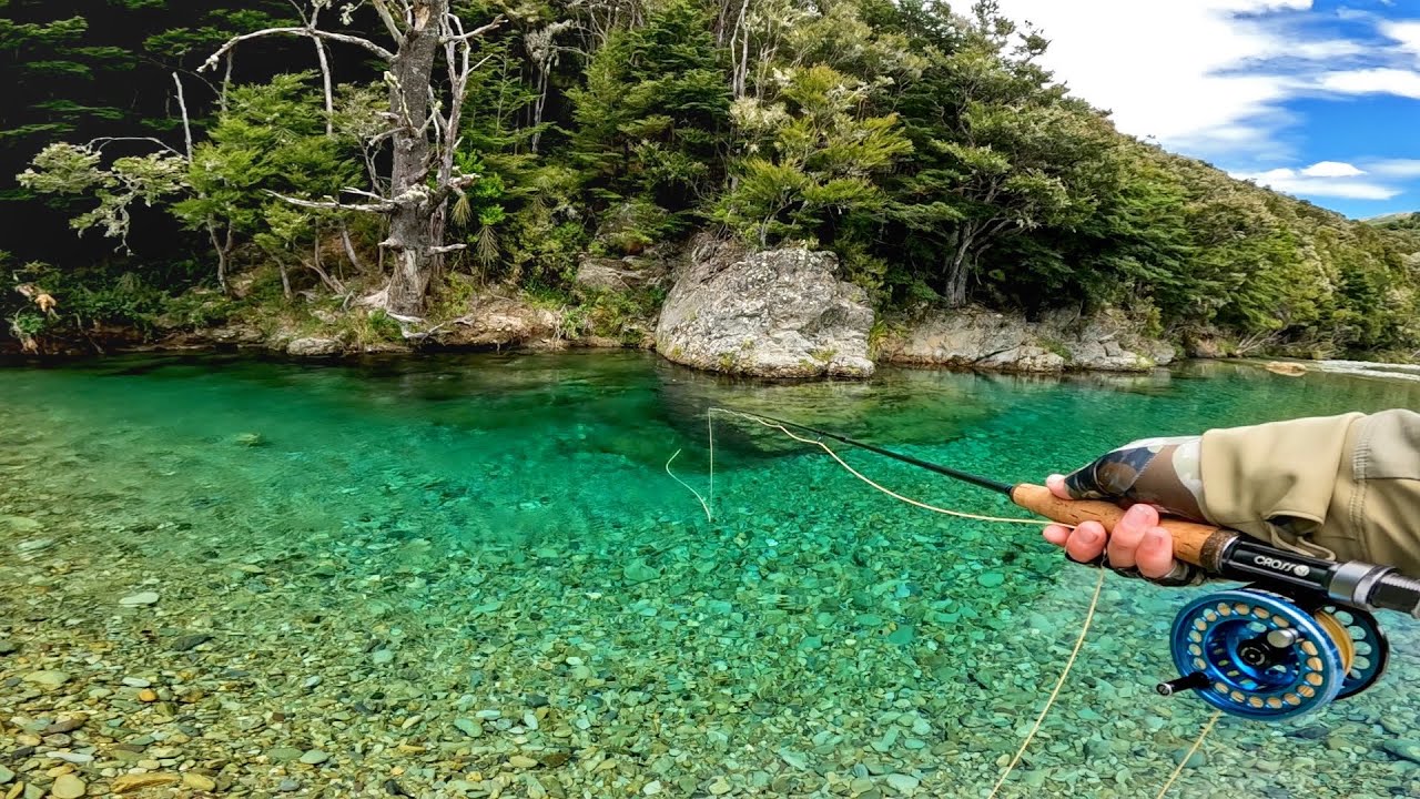 I've Gone Full Time Trout BUM! YouTube