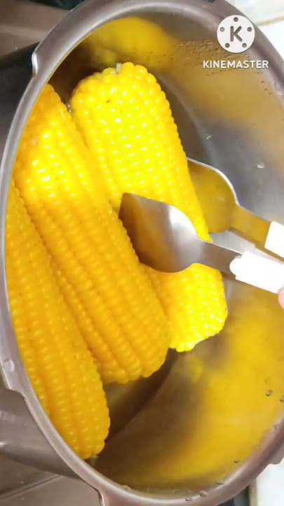 Cara merebus jagung manis | Resep Jagung Manis Rebus #cookwithrachna #sweetcorn #recipe #easy #cooking