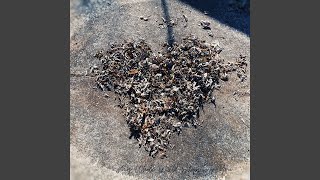 My Whole World Stops for You