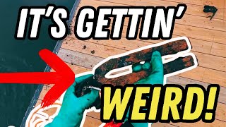 Insane Magnet Fishing Discoveries: You Won't Believe What We Found!