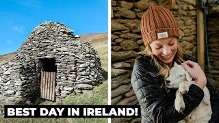 DINGLE, IRELAND: Slea Head Drive, Beehive Huts, Sheep, and Food