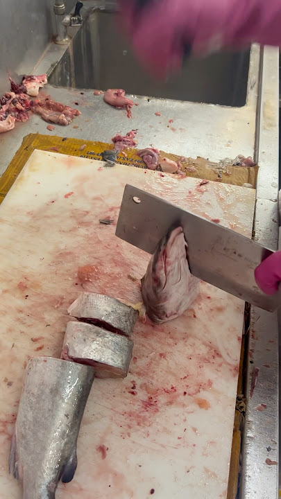Rita fish cutting skills #shorts #shortsviral #youtubeshorts