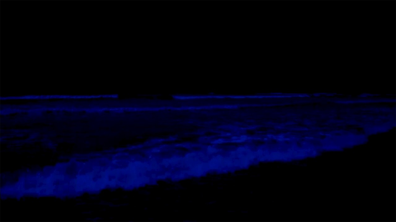 (No Ads) Deep Relaxation Music • Fall Asleep In 5 Minutes With Soothing Ocean Sounds All Night Long