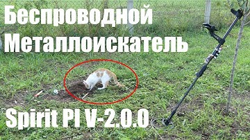 Беспроводной металлоискатель Пират ( Spirit Pi  Версия 2.0.0 на ESP32)/Испытания