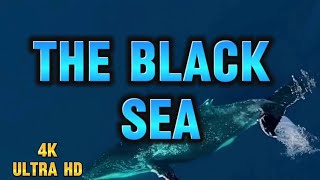 The Black Sea in 4K/ Scenic Relaxation Film with Peaceful Relaxing Music and Nature Video/ Ultra HD