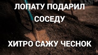 ⚡️Грядки НЕ КОПАЮ и вам не советую⚡️ Сажаю чеснок в сидераты в органике