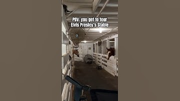 Have you ever done the Elvis Presley Stable Tour?! #elvispresley #graceland