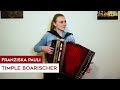 Franziska pauli  timple boarischer steirische harmonika