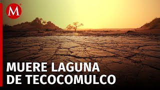 En Hidalgo, la laguna de Tecocomulco se está secando; cuanta con un 25% de agua
