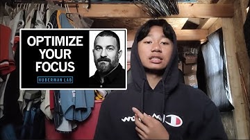 4 Minute Summary of Andrew Huberman