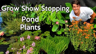 Bog Plants: Koi safe pond plants: Growing Water Garden Plants