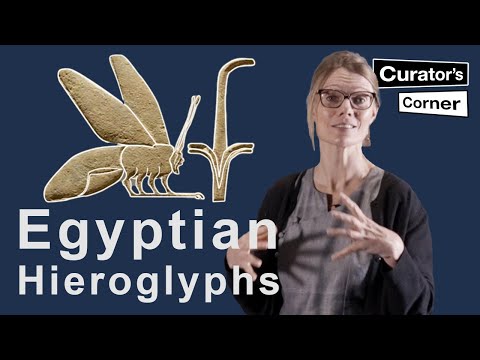 Learn how to read Ancient Egyptian Hieroglyphs with Ilona Regulski | Curator's Corner S7 E11