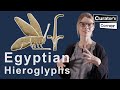 Learn how to read Ancient Egyptian Hieroglyphs with Ilona Regulski | Curator&#39;s Corner S7 E11