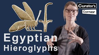 Learn how to read Ancient Egyptian Hieroglyphs with Ilona Regulski | Curator&#39;s Corner S7 E11