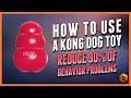 How to Use a Kong Dog Toy - 90% of Behavior Problems Eliminated