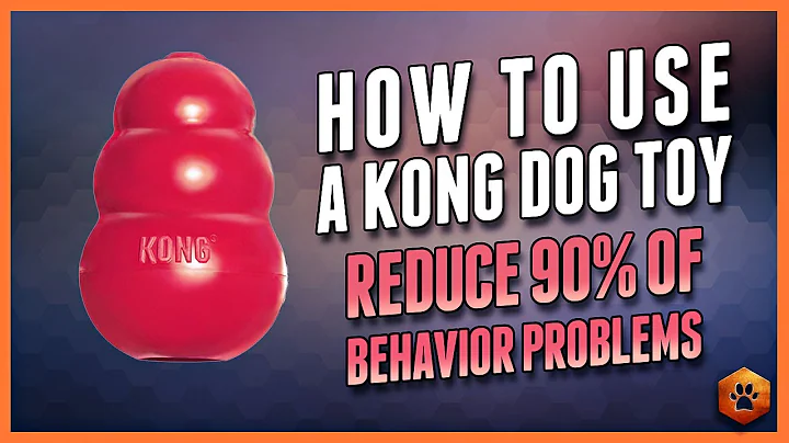 How to Use Kong Toys to Help Enrich Your Dog's Life (And Improve Behavior) - DayDayNews