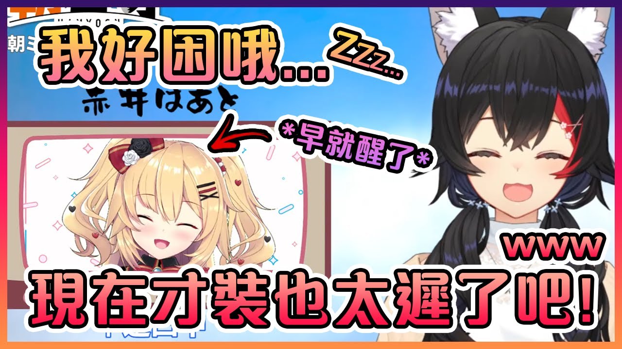 因為想要被誇可愛而在途中裝是剛剛起床的辣個女人...【Hololive中文】【大神澪/Haachama/赤井心】