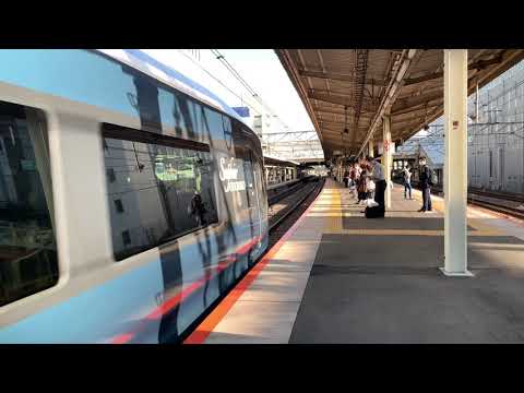戸塚駅　サフィール踊り子　高速通過