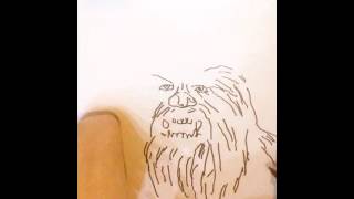 Drawing Chuwbacca ( on osmo )