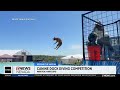 Dog diving competition held