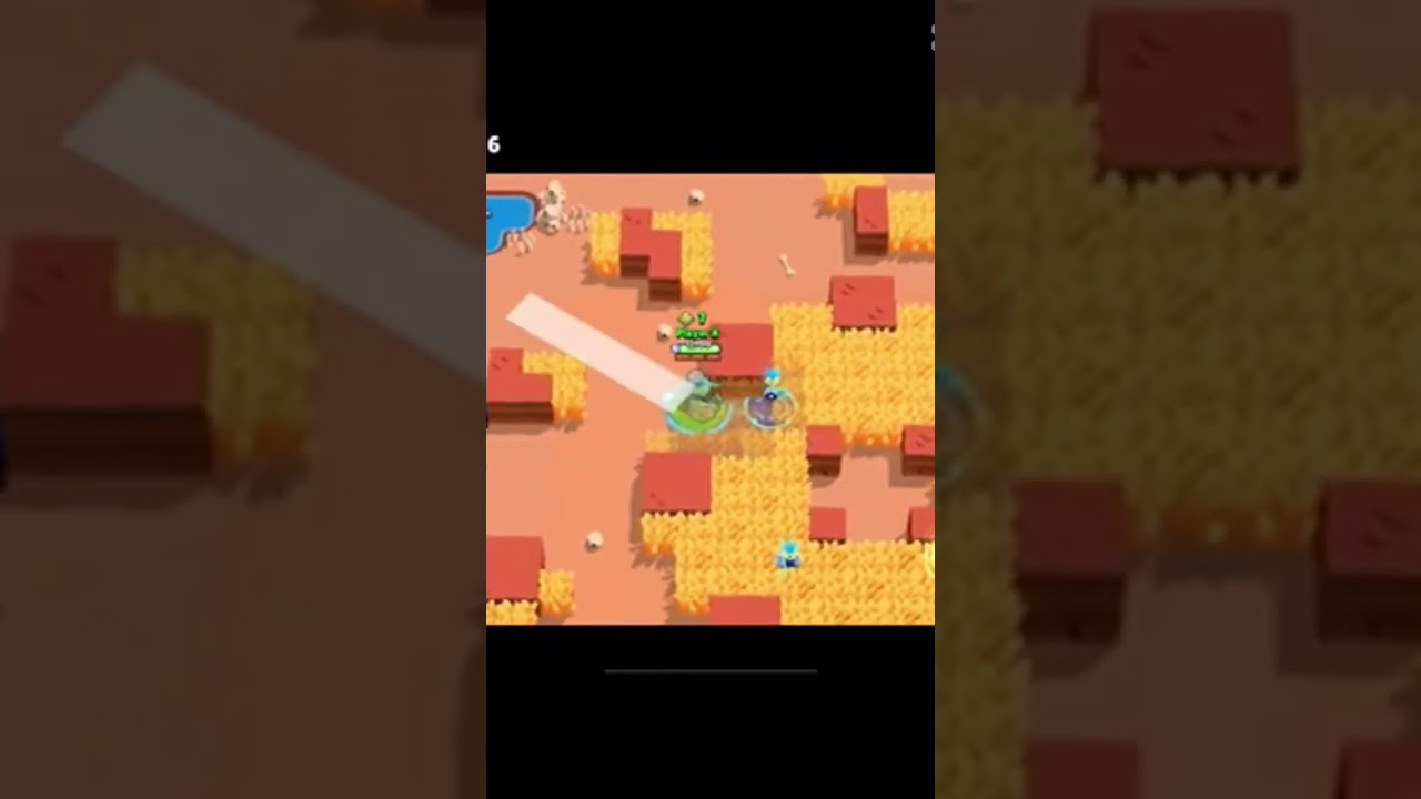 New Chuck Skin | Chuck #6