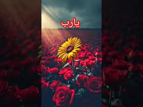 امين يارب العالمين اللهم صل وسلم على نبينا محمد