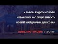 Морози у Львові, незаконна капличка, майданчик для собак | «Львів. Про головне» за 13 січня