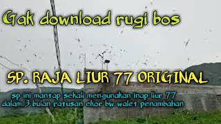 SP Raja Liur 77 Andi Sufar 77