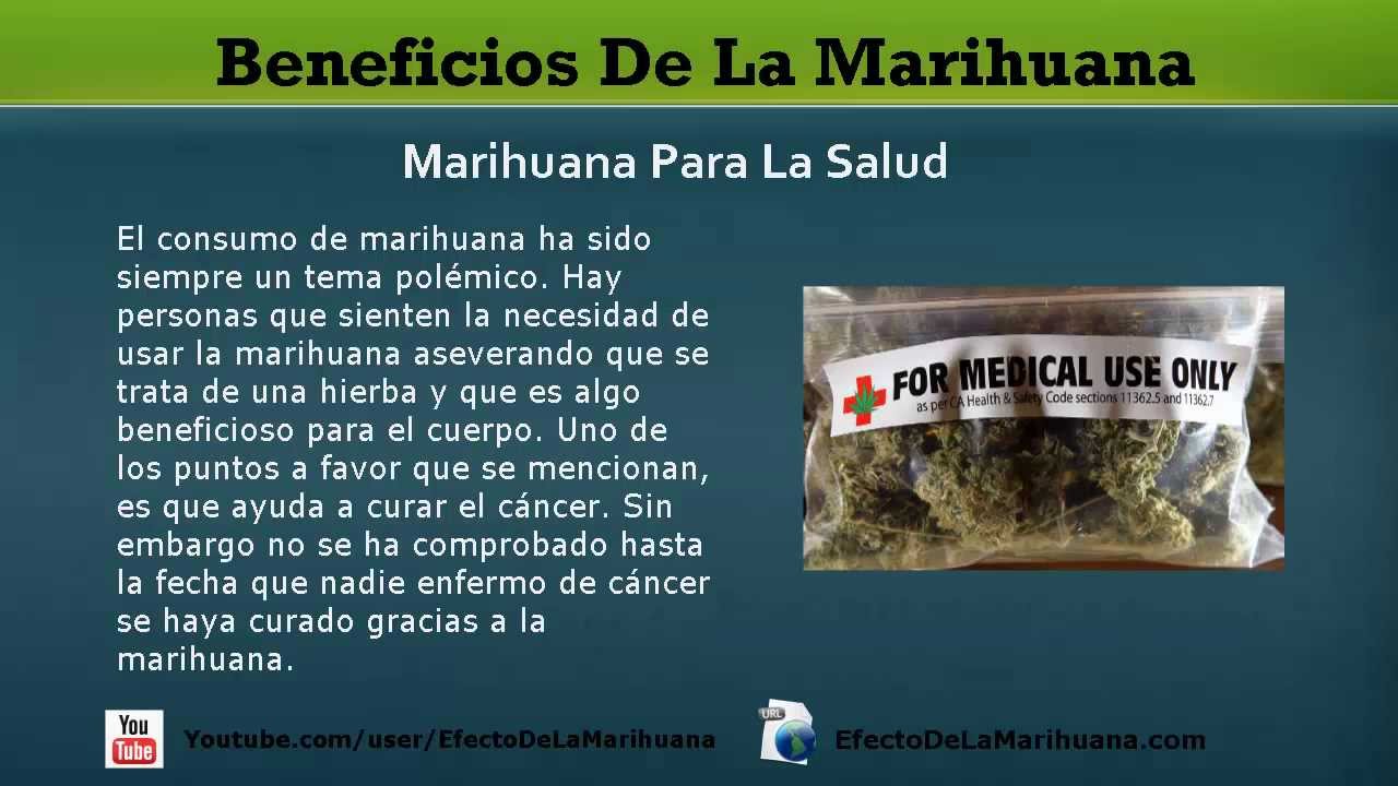 Como usar la marihuana para adelgazar