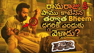 Unnoticed Theory in RRR | Unnoticed Detail in RRR | Vithin-Cine