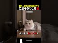 飼い主を待ち続けて泣きそうになる猫