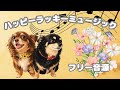 ハッピーラッキーミュージック フリー音源