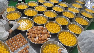 картинка: огромная коллекция блюд из яиц