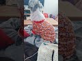 Almost time to separate the arms!! Lucy watching the progress... or the TV🤔#sweater #knit #fyp #dog