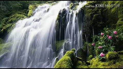 Tutorial cara membuat grafik fungsi dengan menggunakan Aplikasi MATLAB 2013