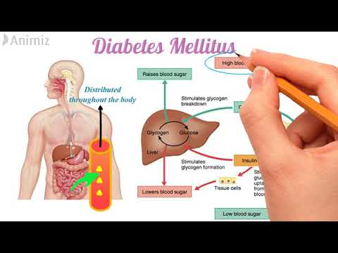 Diabetes Mellitus and its treatment (Pharmacology) in depth