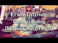 Erwin ditzner bongo bong manu chao 1998