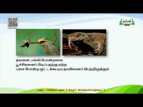 Class 3 | வகுப்பு 3 | அறிவியல் | விலங்குகளில்  வாழ்க்கை | அலகு 2 | பகுதி 2 | TM | KalviTv