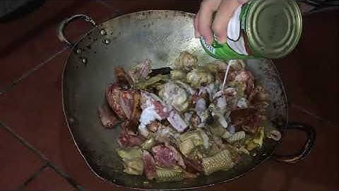 rắn mèo gà món ngon