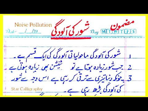 noise pollution essay in urdu