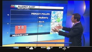 Storm Team 8 pollen forecast Daybreak 052417