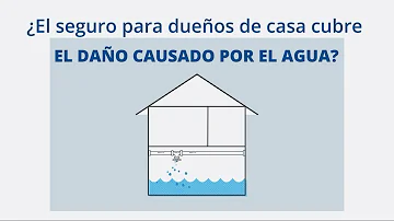 ¿Cubre el seguro los daños causados por el agua en las paredes?