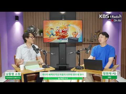 나무에게 <strong>사람처럼</strong> 권리를 준다는 게 말이 돼? 응 돼_남종영 기후변화와 동물연구소장_KBS오늘아침1라디오_260814금