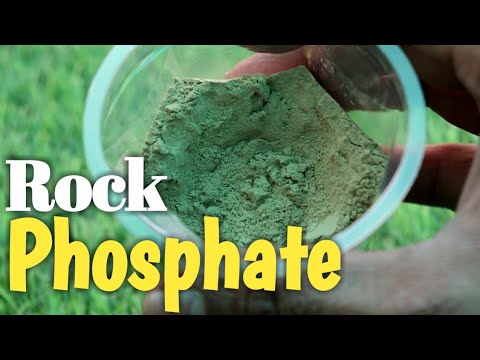 How to use Rock Phosphate Organic fertilizer for