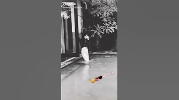 ان شاء الله هم تنجرح و غيري يذلك وياه ودنيا دواره ترا ما تدوملك لا ولالله 