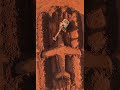renovation satisfying #funny#manga#3d#funny #viral