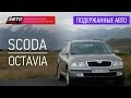 Подержанные автомобили - SKODA Octavia, 2008 г. - АВТО ПЛЮС