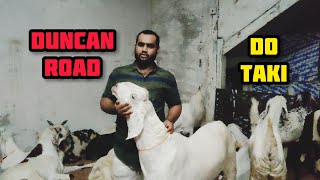 Jodhpur to do taki. mumbai goats for ...