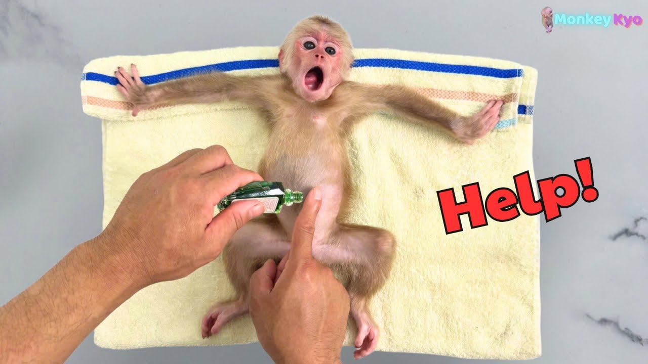 The moment Ngan showed her love for Kyo – No one saw it coming!